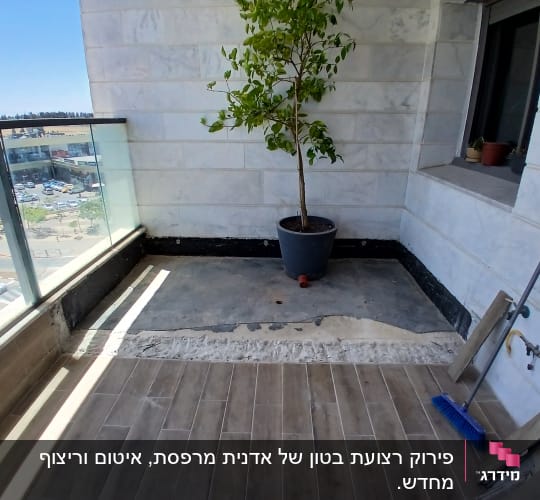 מרפסת עם עץ בעציץ ומטאטא כחול